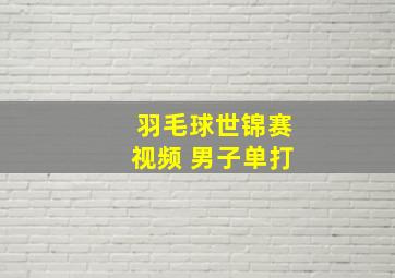 羽毛球世锦赛视频 男子单打